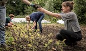 vrouw werkt in tuin
